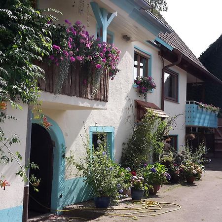 Rosenhof Broggingen Διαμέρισμα Herbolzheim Εξωτερικό φωτογραφία