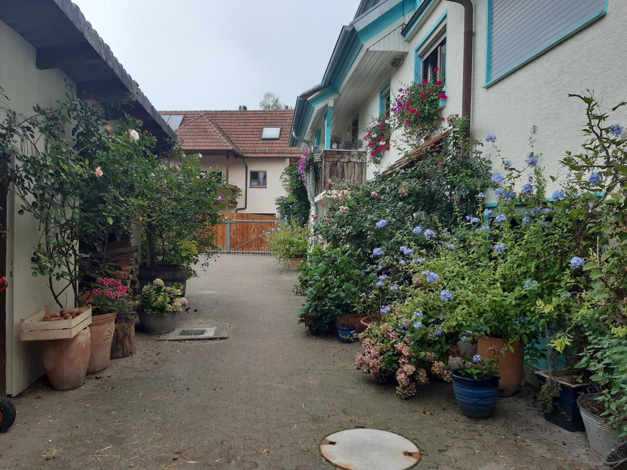 Rosenhof Broggingen Διαμέρισμα Herbolzheim Εξωτερικό φωτογραφία